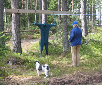 Aston kollar på dumpen